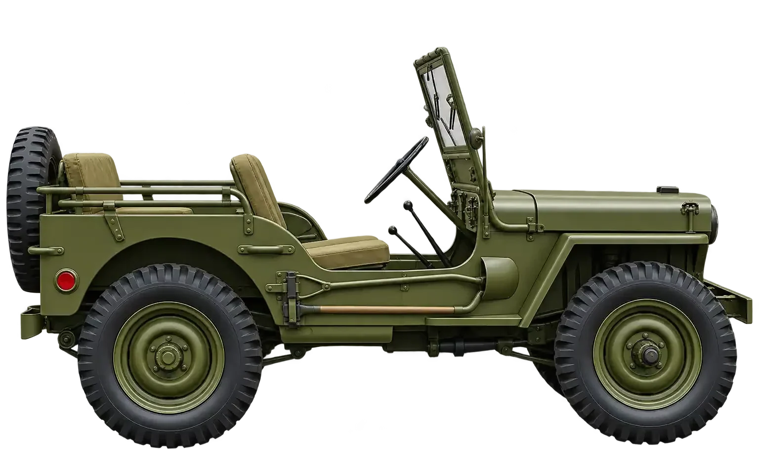 safari